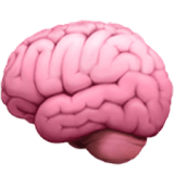 Brain Icon
